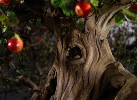 I couldn't find any statement made by MGM on the subject. . Man hanging from tree in wizard of oz